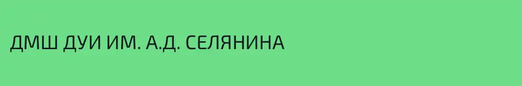 ДМШ ДУИ ИМ. А.Д. СЕЛЯНИНА